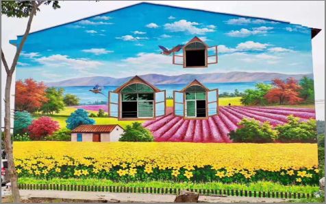 扬州乡村墙体彩绘